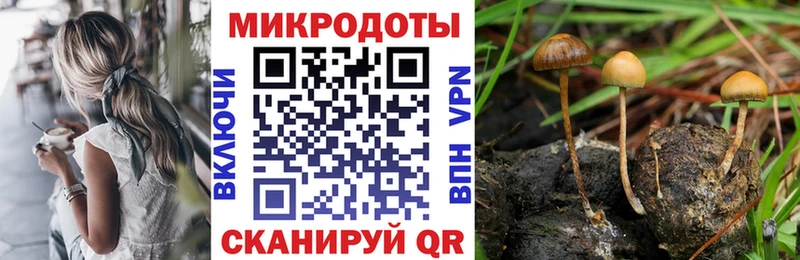 Галлюциногенные грибы GOLDEN TEACHER  купить  сайты  Злынка 